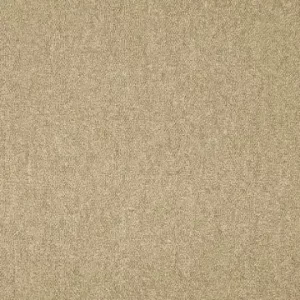 موكيت مكاتب ديفا 790