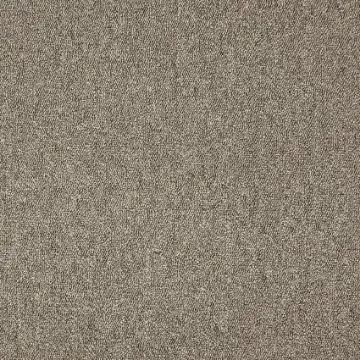 موكيت مكاتب ديفا 810