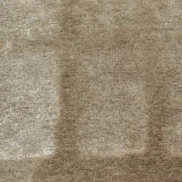 موكيت سميك كافالي - 800